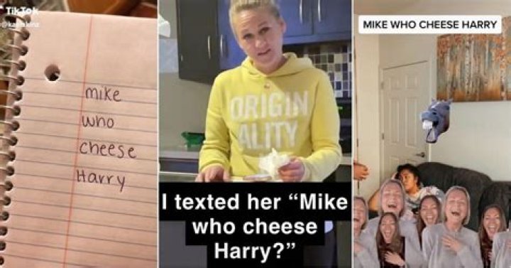 The Mike Who Cheese Hairy Tiktok Meme Is Internet's New Obsession All Over Agains