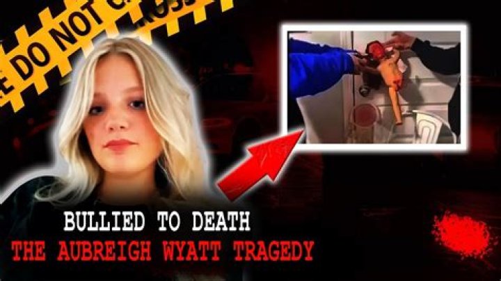 The Shocking Details: Aubreighs Bullying Experience
