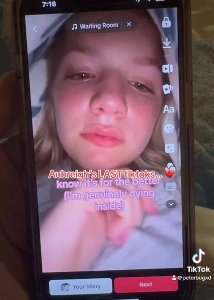 The Ultimate Guide To Aubreigh Wyatt's TikTok Presence