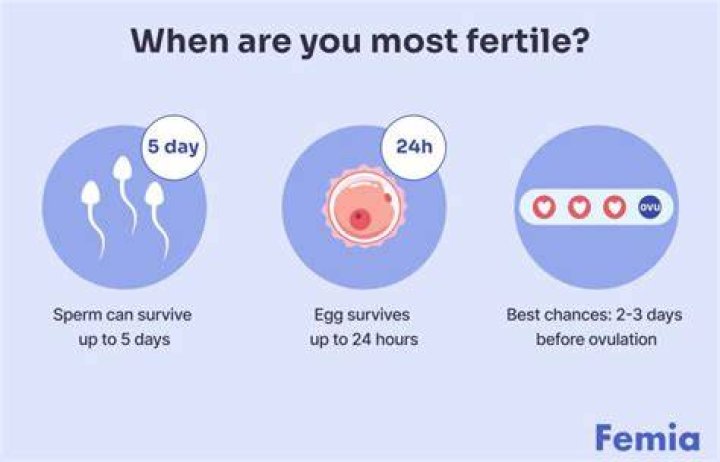 Understanding Fertility: What Age Can A Woman Get Pregnant?
