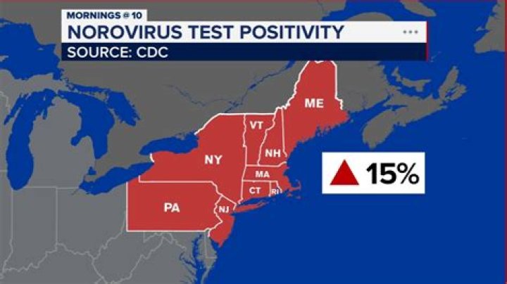 Understanding The Current Stomach Virus Outbreak Map