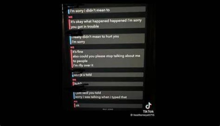 Understanding The Depths: What Did Aubreigh Wyatt's Suicide Note Say?