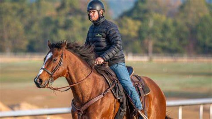 Understanding the Horse-Human Bond: Horse Trainer William Mott’s Insight