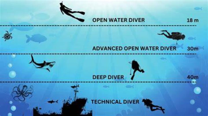 Understanding The Quiava Meaning: A Deep Dive Into Its Significance