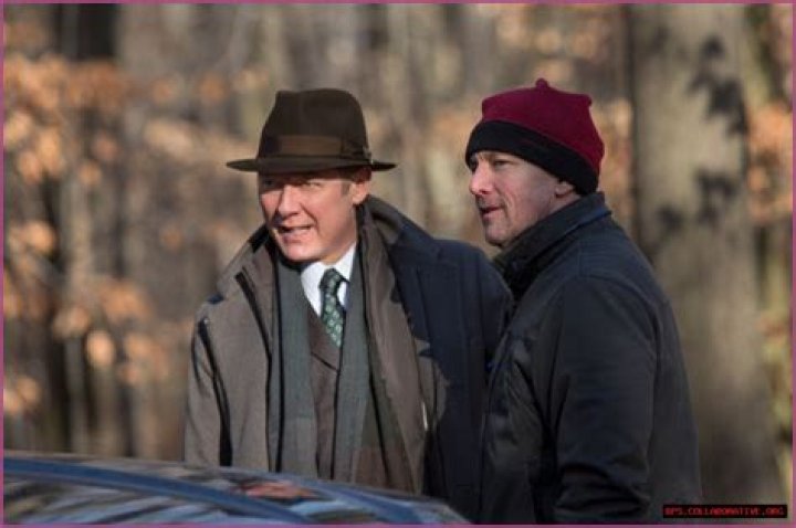Unraveling The Connection Between James Spader And Andrew McCarthy In The Blacklist