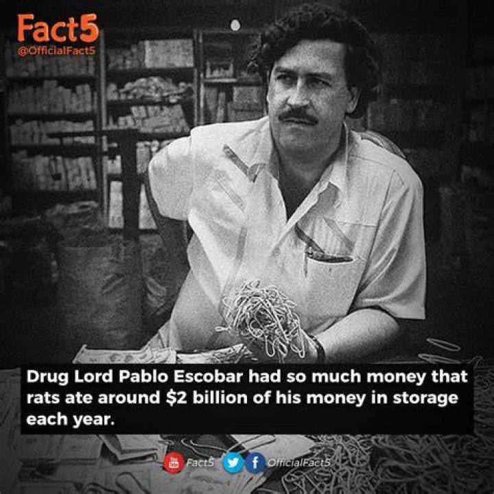 Unraveling The Fortune: How Much Did Pablo Escobar Make Per Day?