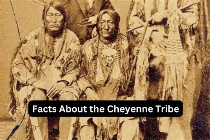 Unraveling The Journey: How Did Cheyenne Get On The Challenge?