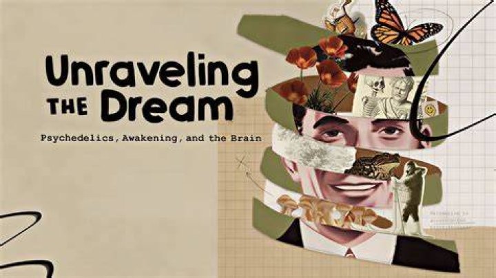 Unraveling The Mysteries Of Brian Quinn's Relationships