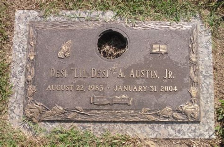 Unraveling The Mystery: What Did Desi Arnaz Jr. Die From?