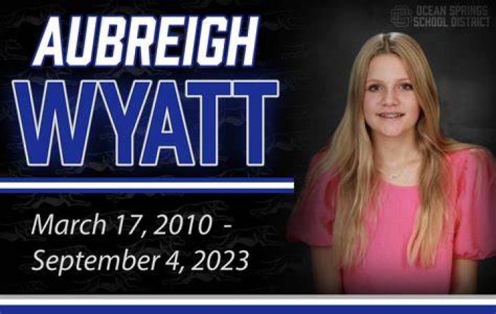 Unraveling The Mystery: What Happened To Aubreigh Wyatt Bully?