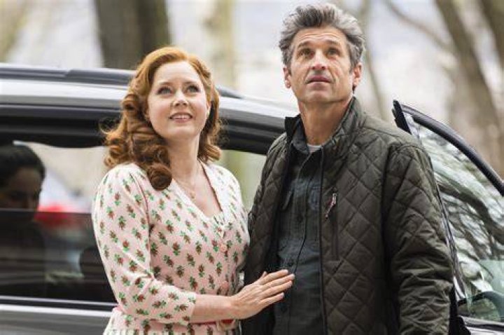 Unraveling The Mystery: Who Is Amy Adams' Partner?