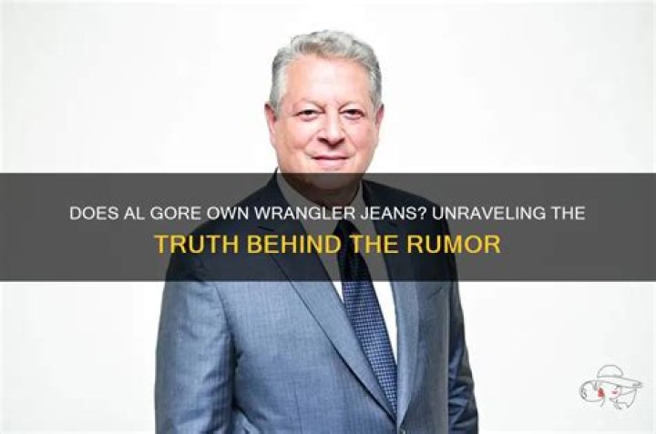 Unraveling The Truth Behind Al Gore's Divorce