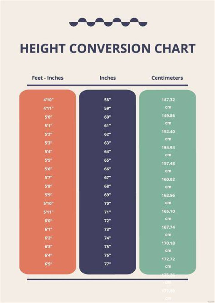 Unveiling The Height Of Ellen: How Tall Is She Really?