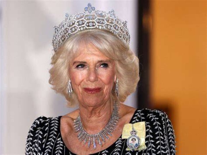 Unveiling The Life And Achievements Of Camilla Araujo Leams