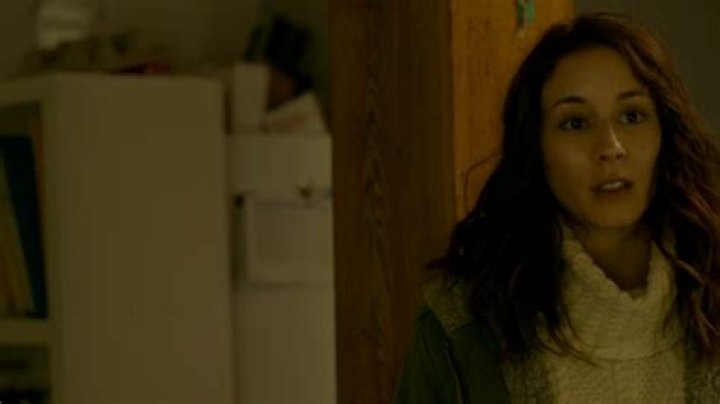 Unveiling The Mystery: NCIS Troian Bellisario