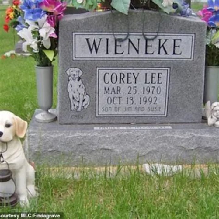 What Happened To Corey Wieneke? Fiance Testifies On Murder Mystery As Revealed On Dateline 