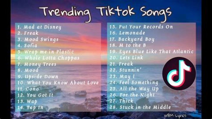 What Is 'She Got Big Ol Tiddies' TikTok Song Lyrics? Here's What We Know About The Trending Music