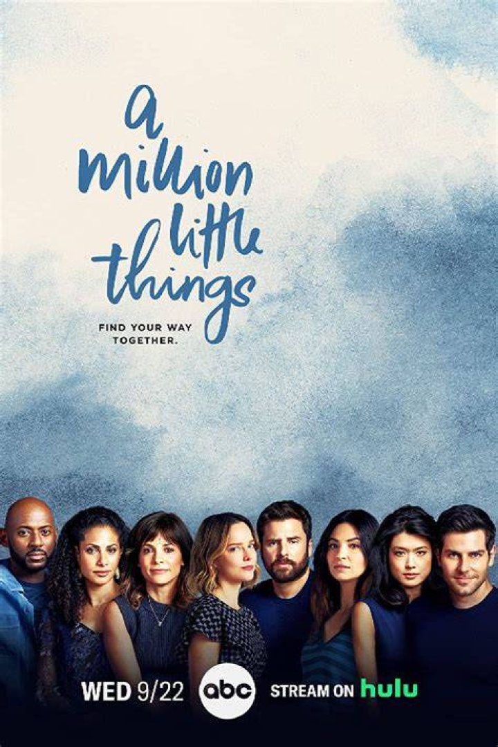 Who Is Adam Swain? Details To Know About The Cast Of A Million Little Things