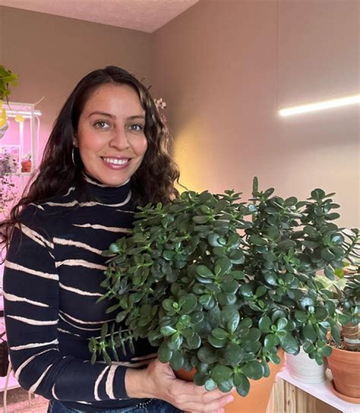 Who Is Krystal Duran Indiana? Learn About Her The TikTok Star